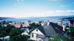 ウェリントンの街並