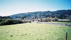 それにしてもよく晴れてるなぁ