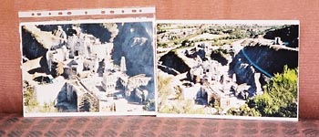 ちょっとピンボケ(汗)