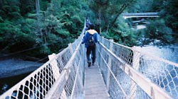 揺ーれーるー！