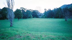 これじゃ見えないですね（＾＾；