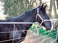 是非探してみて！