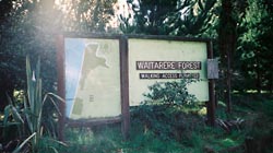 植林地帯の入り口看板