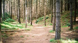 この角度、出てますよ