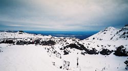 遠くにタラナキ山を臨む