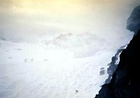 コートも真白になりました