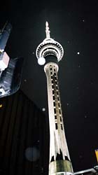 白い点々は雨粒ですよ